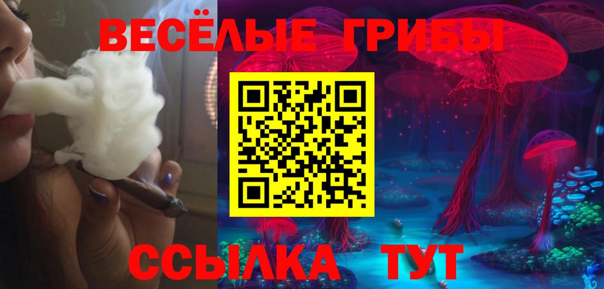 Гулькевичи  Псилоцибиновые грибы прущие грибы  Вход с VPN  где можно купить наркотик  Галлюциногенные грибы Psilocybe 